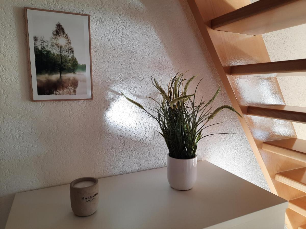 Ferienhaus Erzgebirge Marienberg Exterior foto